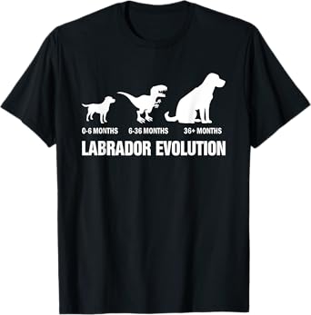 Labrador Retriever Evolution Dog Funny Saying T-Shirt