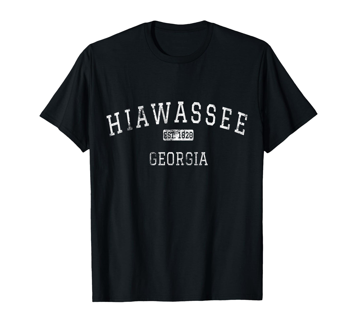 Hiawassee Georgia GA Vintage T-Shirt