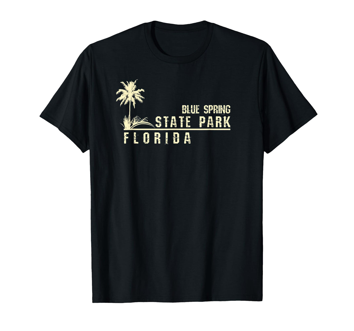 Florida Souvenir Gift for Blue Spring State Park T-Shirt