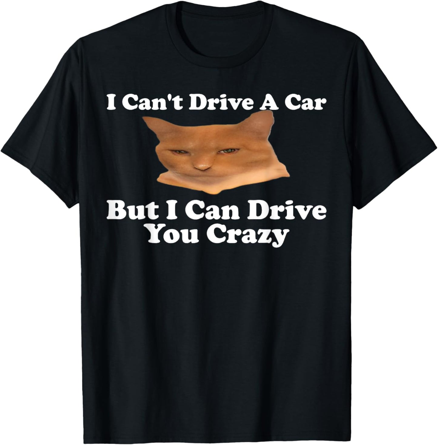I Can't Drive A Car But I Can Drive You Crazy Cat Meme Gen-Z T-Shirt