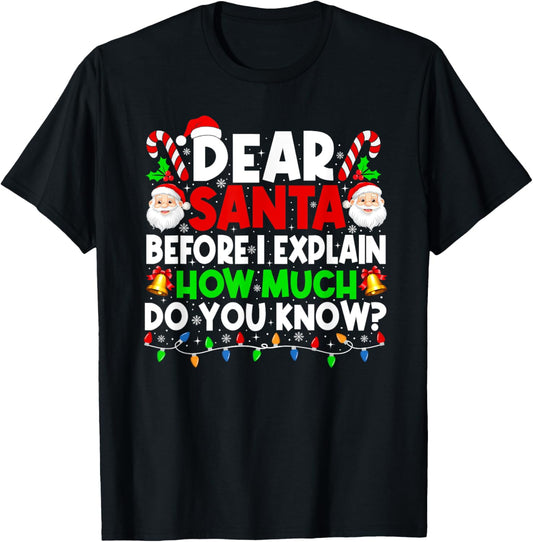 Dear Santa I Can Explain Xmas Pajamas Funny Christmas Lights T-Shirt