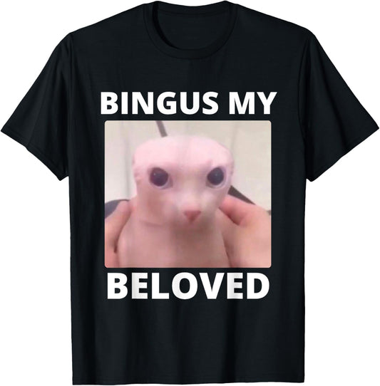 Bald Bingus My Beloved Hairless Sphinx Cat Bingus Cat Meme T-Shirt
