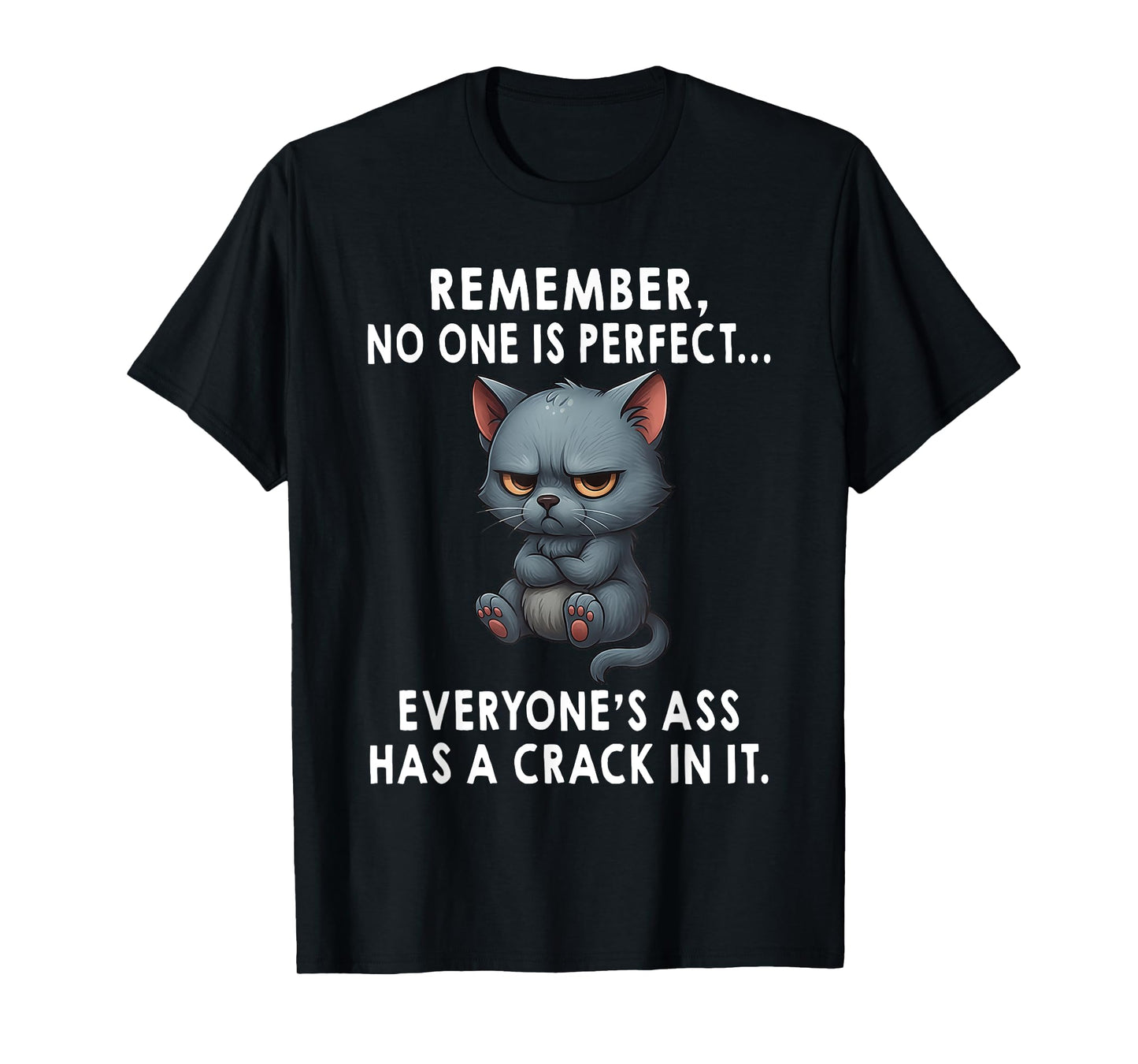 Remember No One is Perfect Everyone's Ass Has A Crack in It T-Shirt