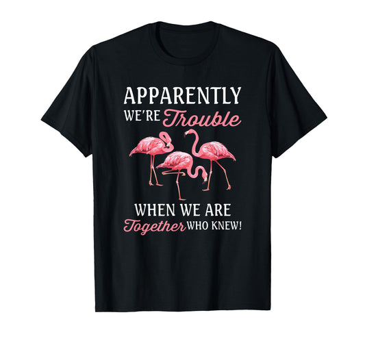 Apparently We're Trouble When We Are Together Who Knew T-Shirt