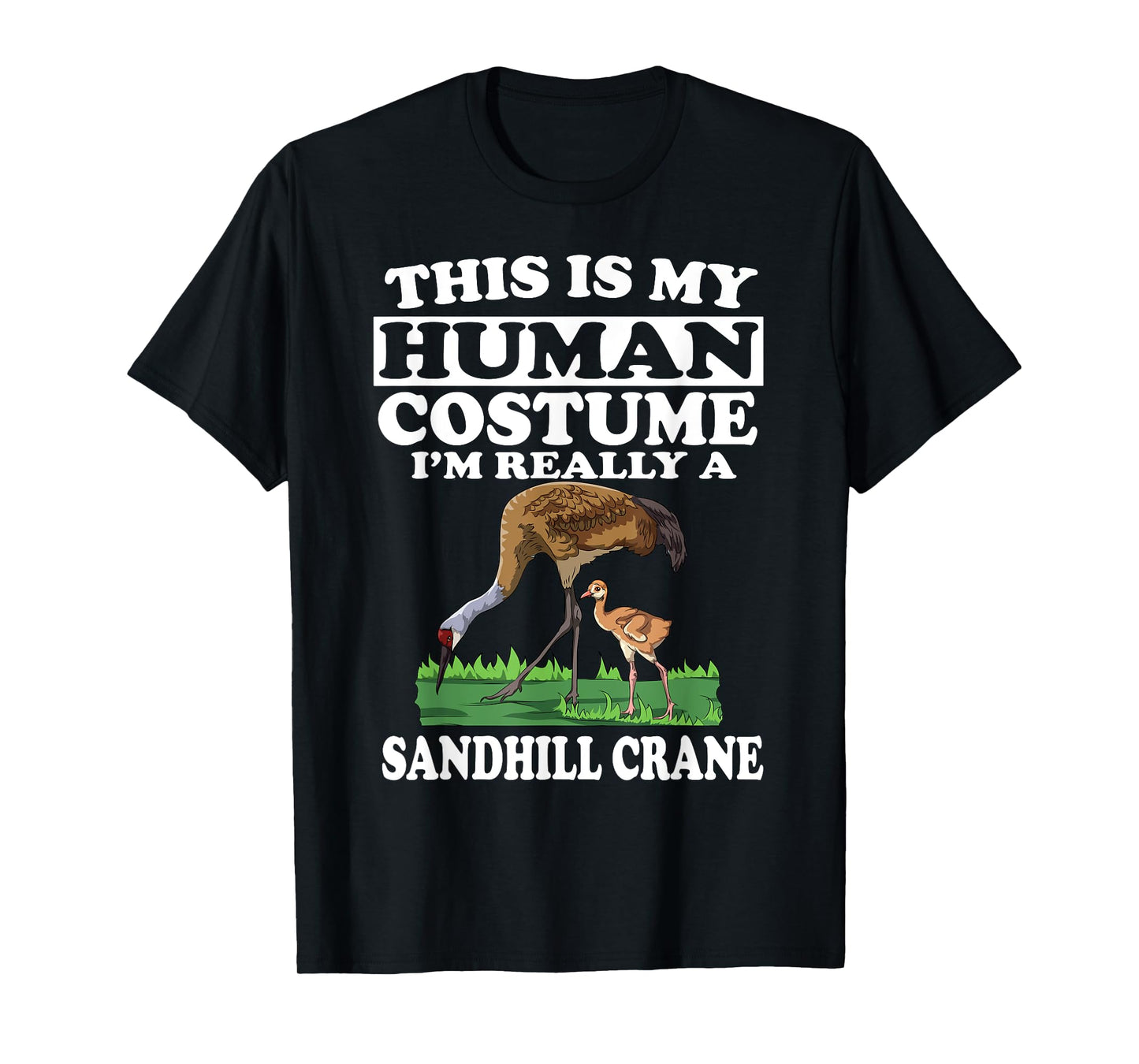 This Is My Human Costume I'm Really A Sandhill Crane Birding T-Shirt