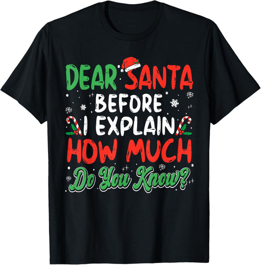Dear Santa I Can Explain Funny Christmas Shirts Kids Adults T-Shirt