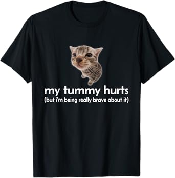 My Tummy Hurts But I'm Being Brave About It Funny Cat Meme T-Shirt for Men Women