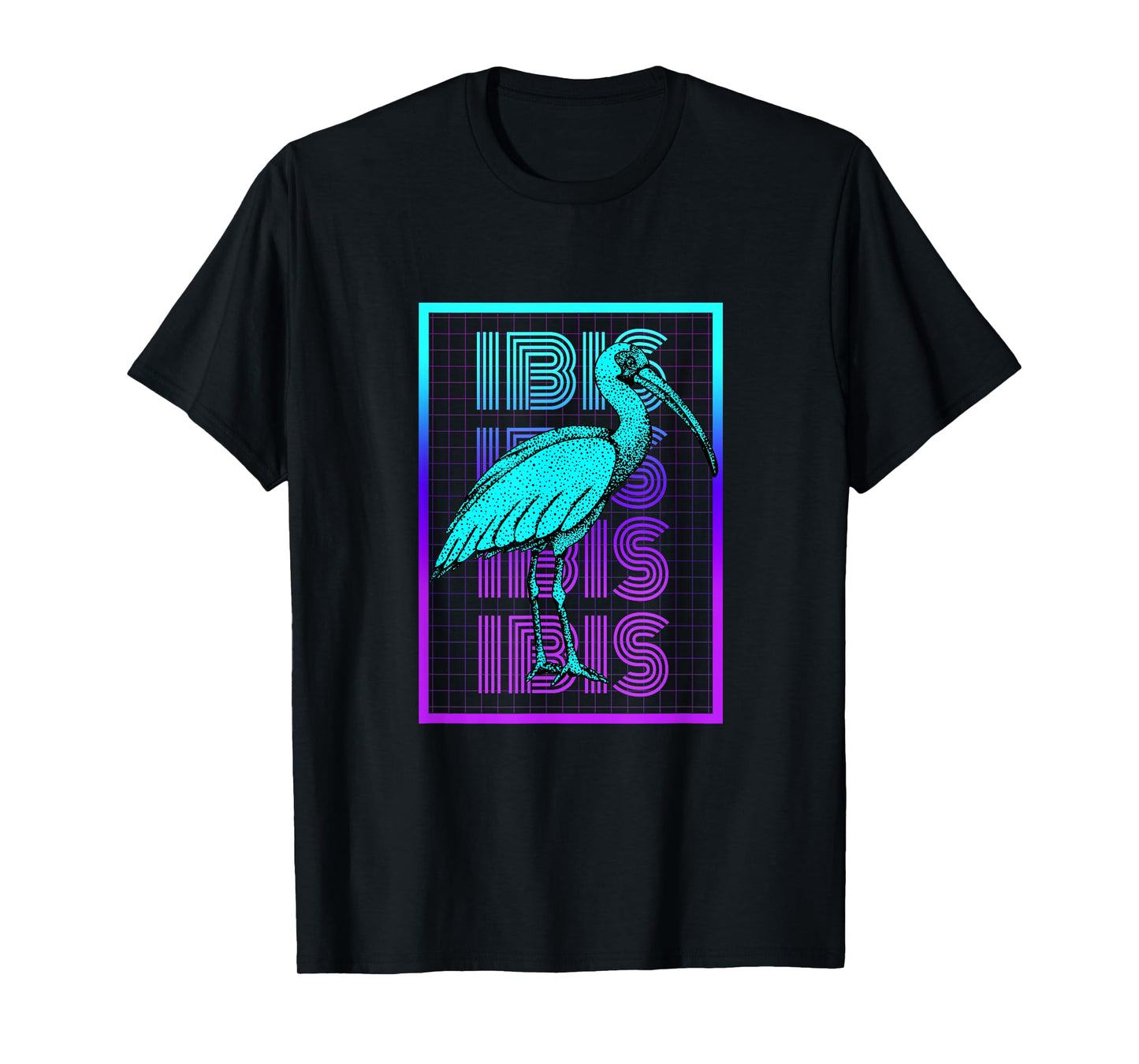 Ibis Bird Vintage Retro Ibis T-Shirt