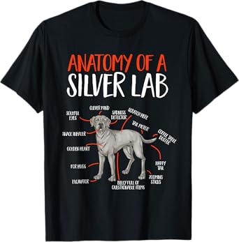 Silver Labrador Retriever Anatomy Of A Silver Lab T-Shirt