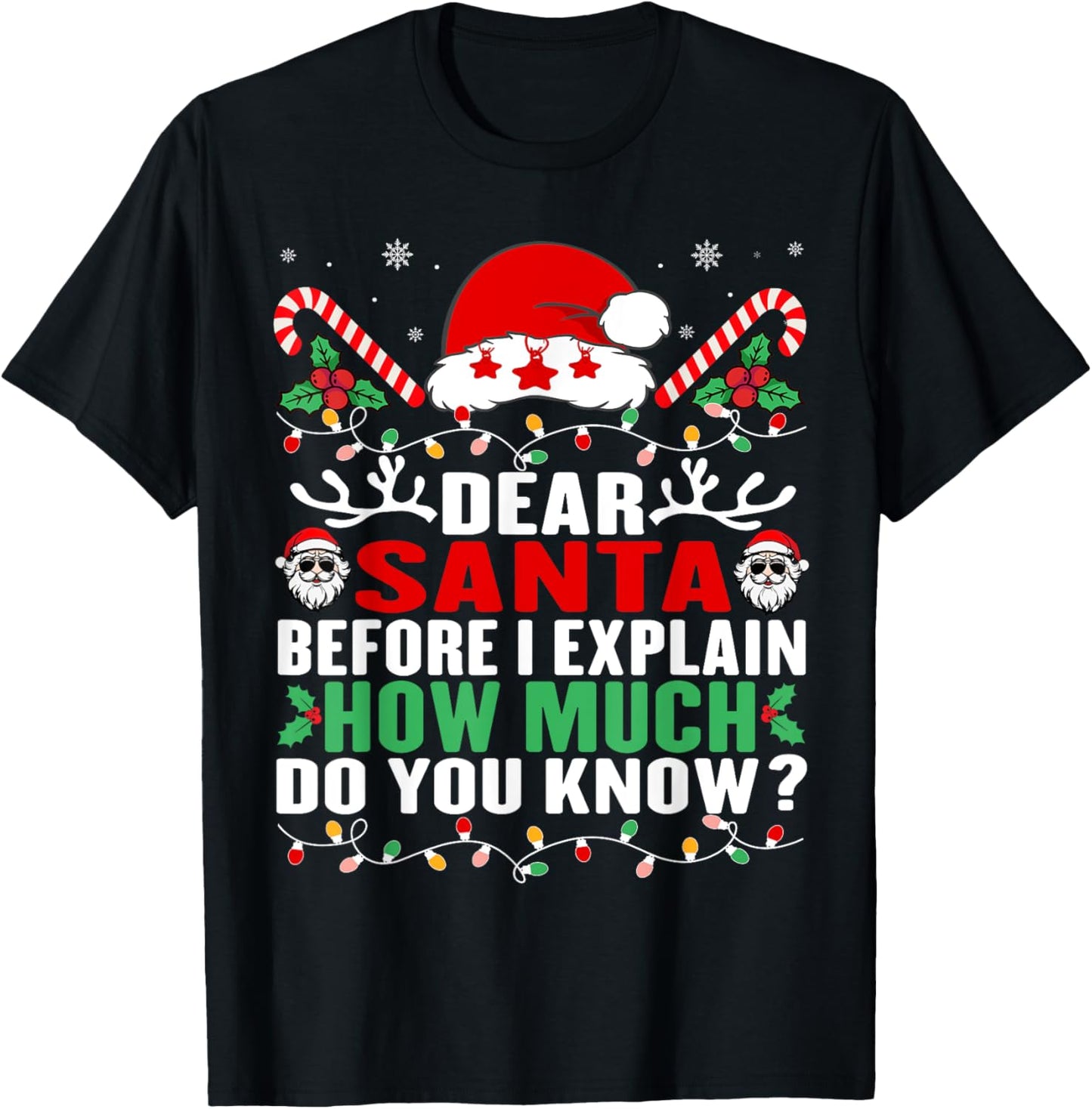 Funny Christmas Kids Adults Dear Santa I Can Explain T-Shirt