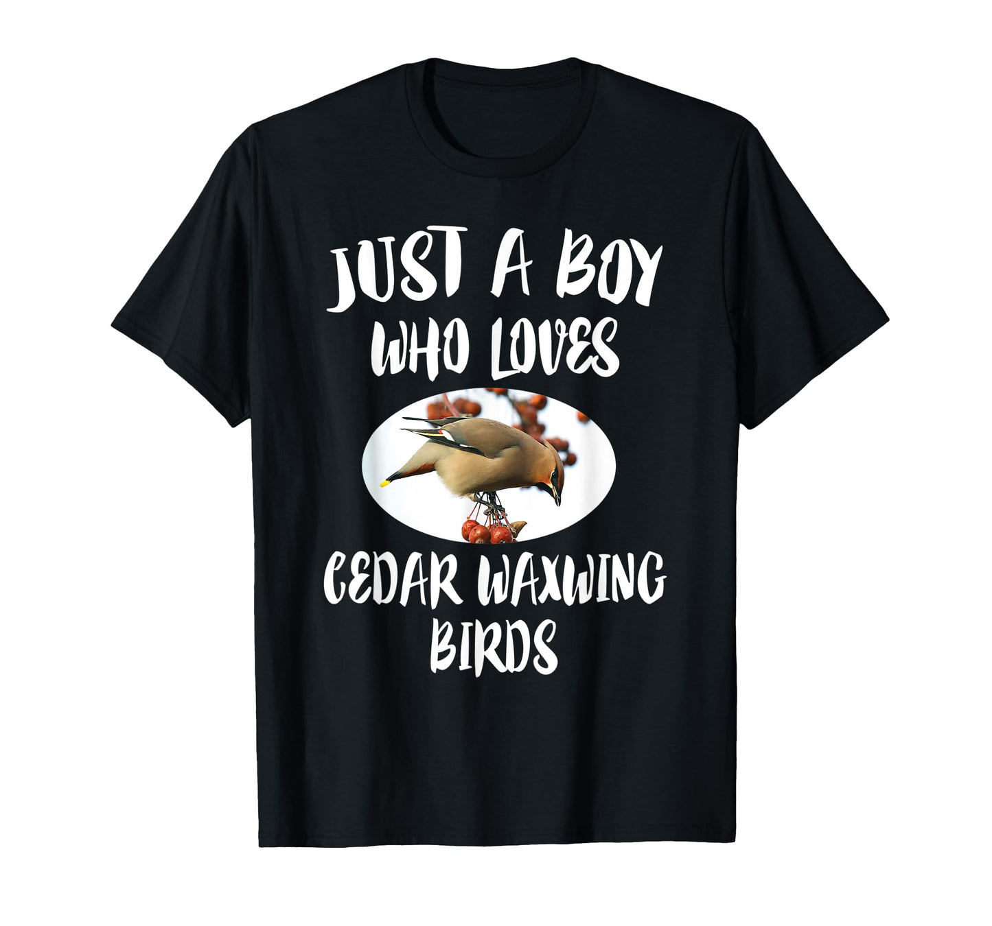Just A Boy Who Loves Cedar Waxwing Birds Gift T-Shirt