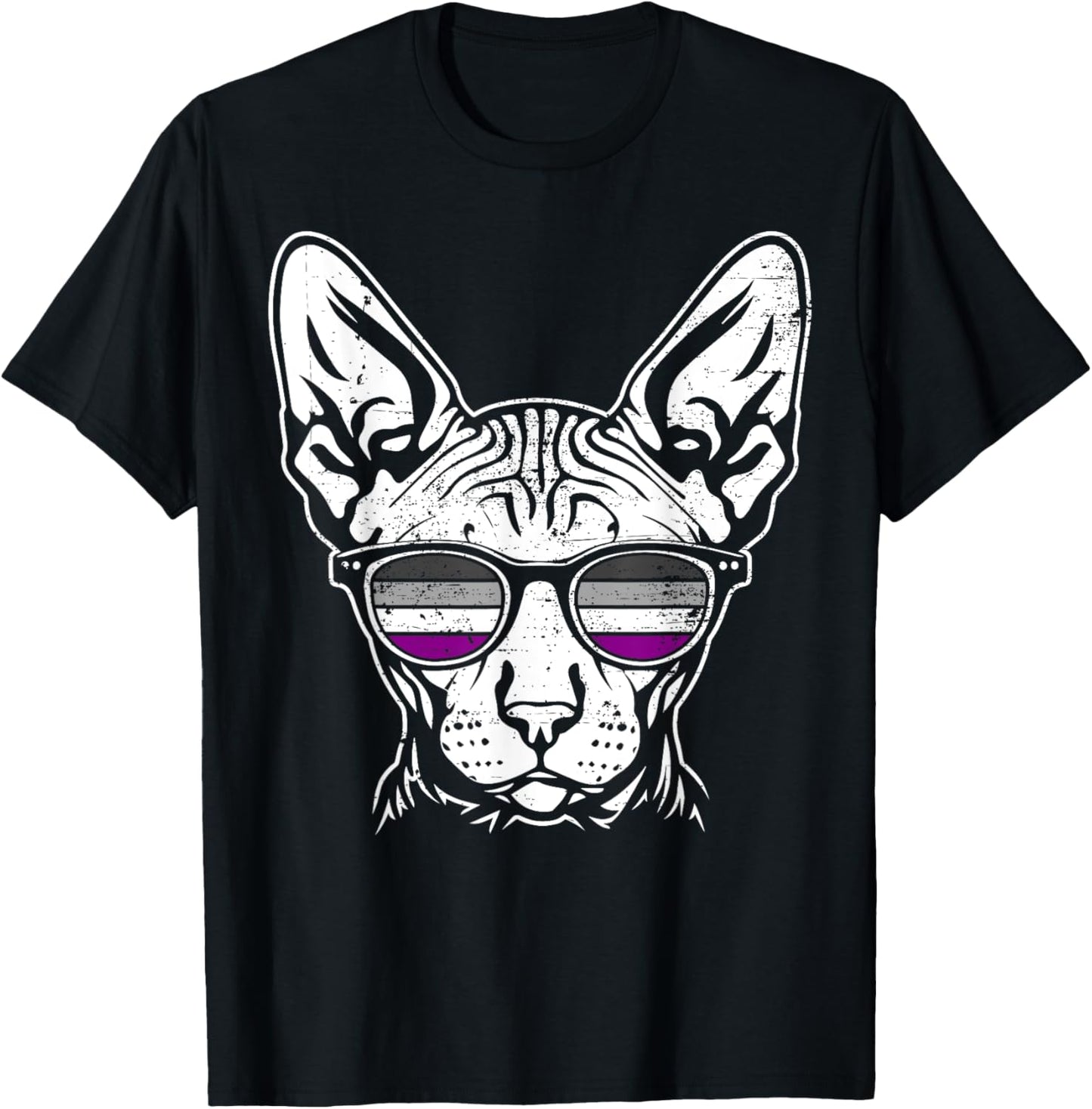Sphynx Cat Ace Pride Sunglasses Grunge LGBTQ T-Shirt