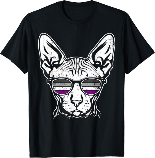 Sphynx Cat Ace Pride Sunglasses Grunge LGBTQ T-Shirt