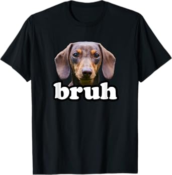 Dachshund Bruh Meme Dog Owner Funny Dachshund Teens Boys T-Shirt