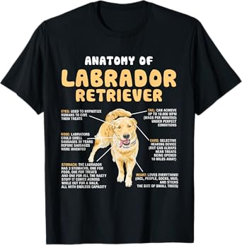 Anatomy Of Labrador Retriever Lovers Funny Lab Owners T-Shirt