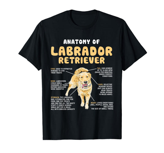 Anatomy Of Labrador Retriever Lovers Funny Lab Owners T-Shirt