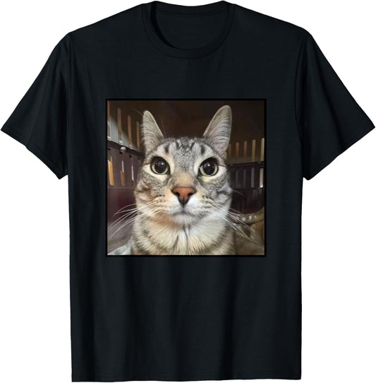 Silly Staring Cat Meme T-Shirt