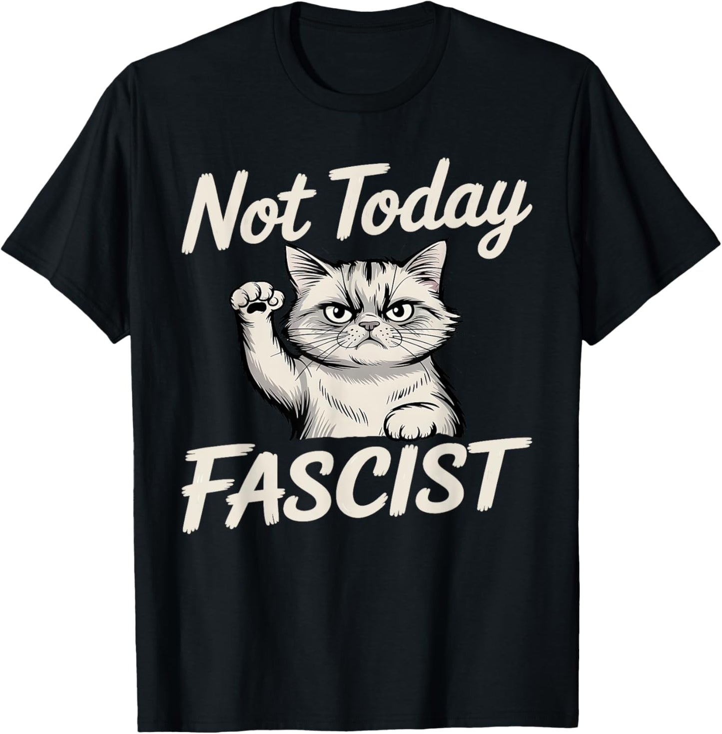 Not Today Fascist Funny Cat Meme Smash Fascism Women Men T-Shirt