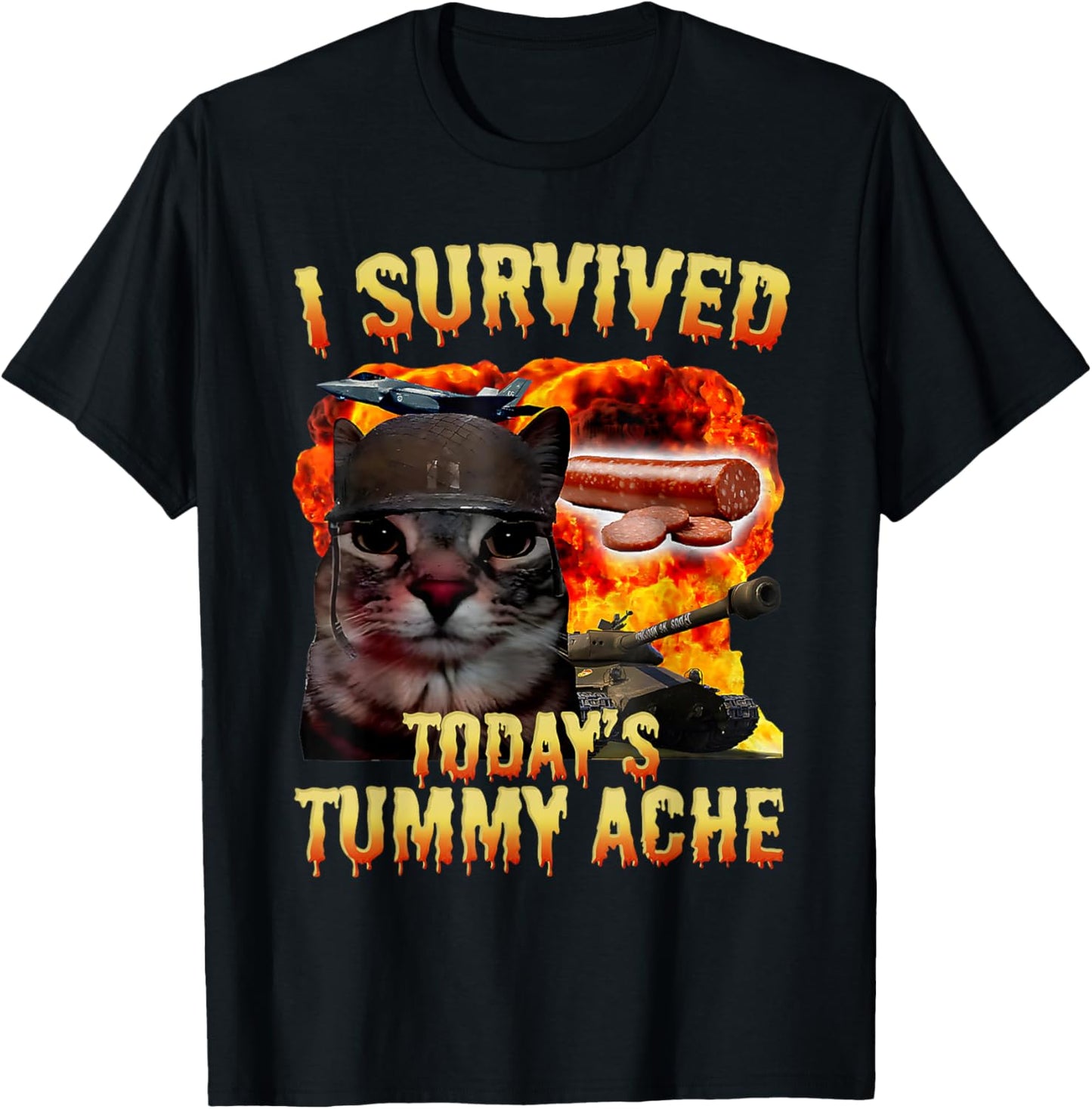 Tummy Ache Survivor Cat Meme Funny Saying Cats Animals T-Shirt