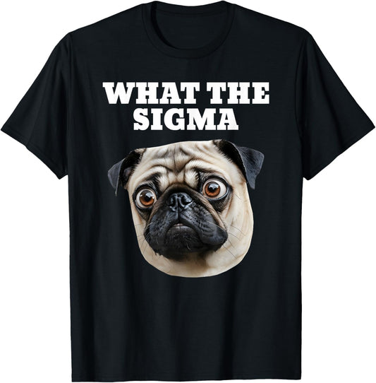 ERM What The Sigma Meme Pug Dog Brainrot T-Shirt