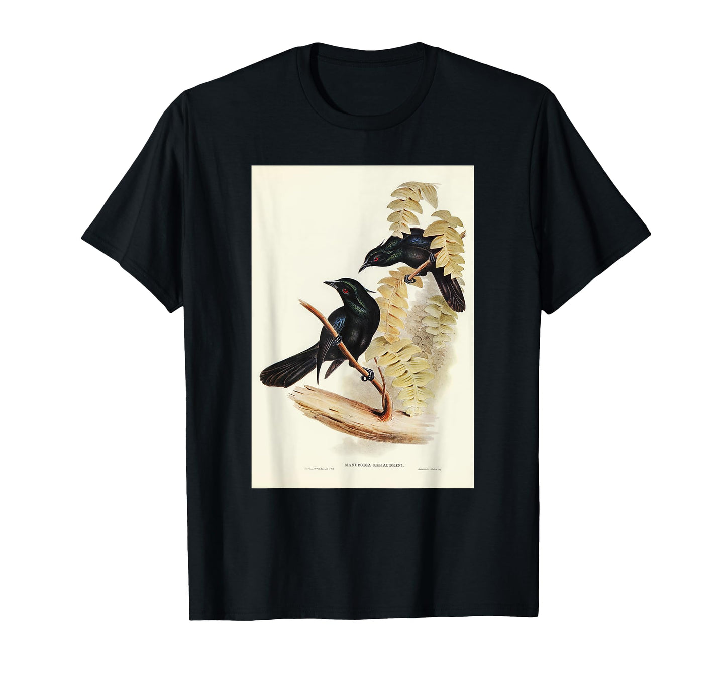 Keraudren's Crow-Shrike Birds Illustration For Men & Women T-Shirt