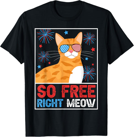 Funny Patriotic Cat 4th Of July So Free Right Meow America T-Shirt