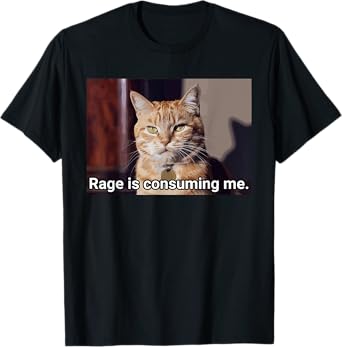 Rage Is Consuming Me Intense Cat Illustration Meme Humor T-Shirt for Men Women Kids
