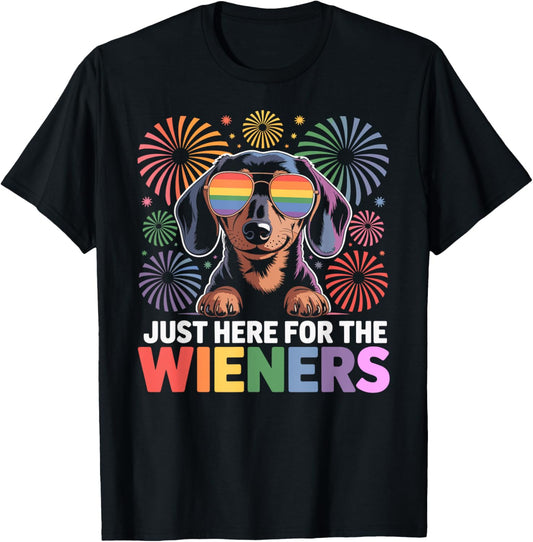 4th Of July Wiener Dog LGBTQ Gay Pride T-Shirt