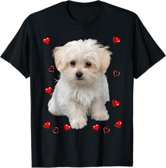 Maltese Dog Lover Puppy Owner Hearts, Maltipoo Mix Fans T-Shirt