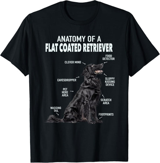 Anatomy Of A Flat Coated Retriever T-Shirt, Small, Black