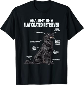 Anatomy Of A Flat Coated Retriever T-Shirt, Small, Black