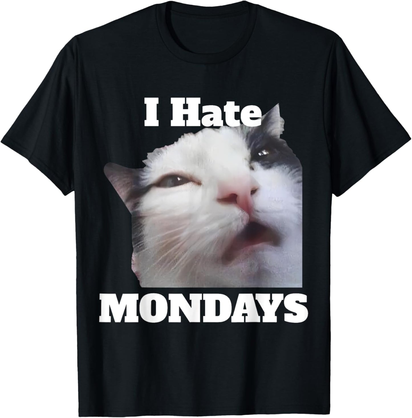 Funny Cat Meme I Hate Mondays Corporate Meme Silly Cat T-Shirt