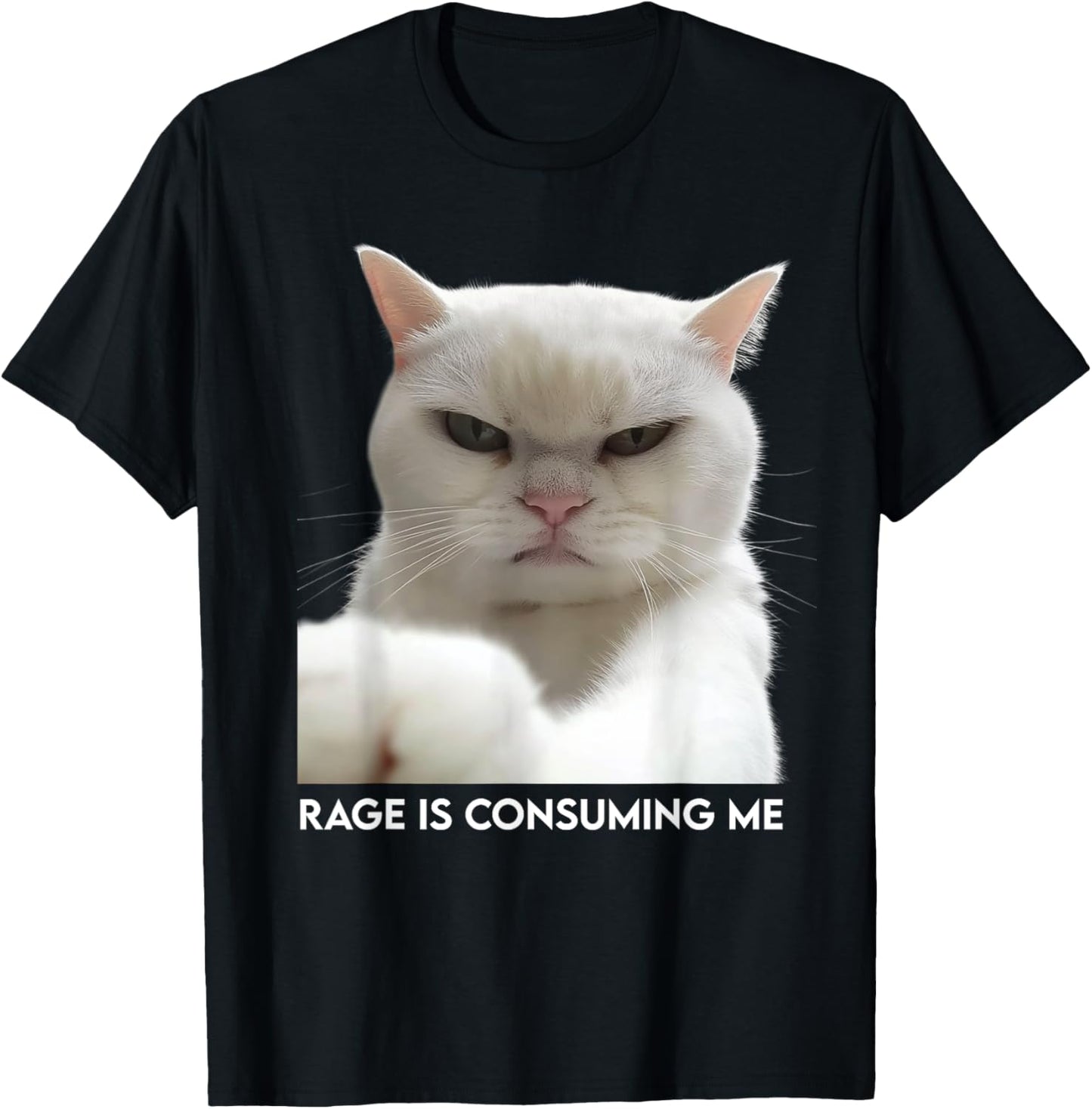 Rage Is Consuming Me Meme Cat Meme Oddly Specific Memes Joke T-Shirt