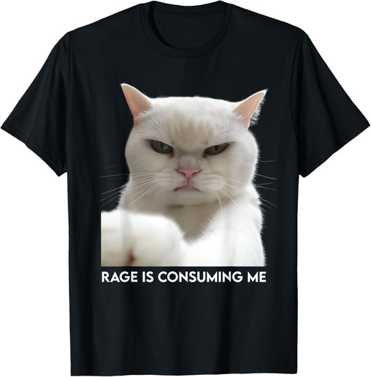 Rage Is Consuming Me Meme Cat Meme Oddly Specific Memes Joke T-Shirt