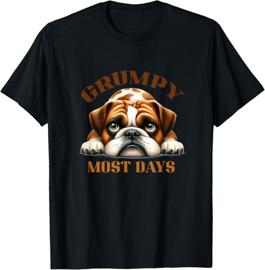 Grumpy Most Days Bulldog Humor Graphic T-Shirt