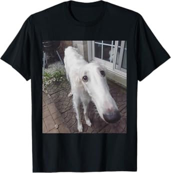 Funny Borzoi Long Nose Dog Meme T-Shirt