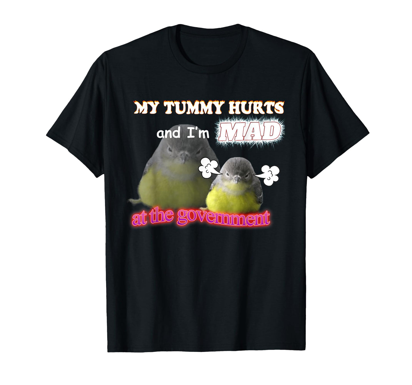 My Tummy Hurts And I'm Mad At The Government Birb Meme T-Shirt