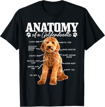 Anatomy Of A Goldendoodle Funny Cute Dog Doodle Mom Dad Men Women Girls Kids T-Shirt