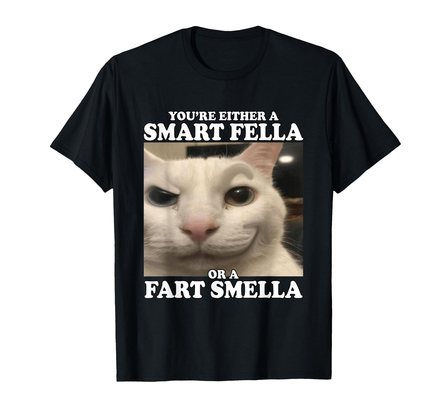 You're Either A Smart Fella Or A Fart Smella Funny Cat Meme T-Shirt