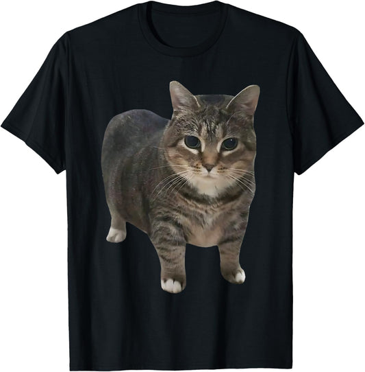 oiia oiia Spinning Cat Meme T-Shirt