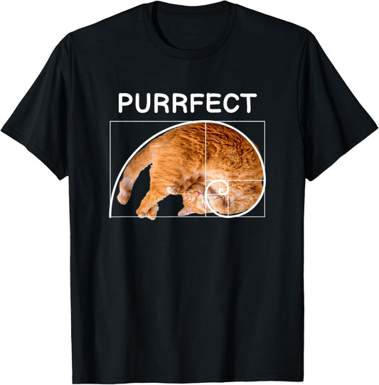 Purrfect Cute Cat Mathematician Math Geometry Teacher T-Shirt