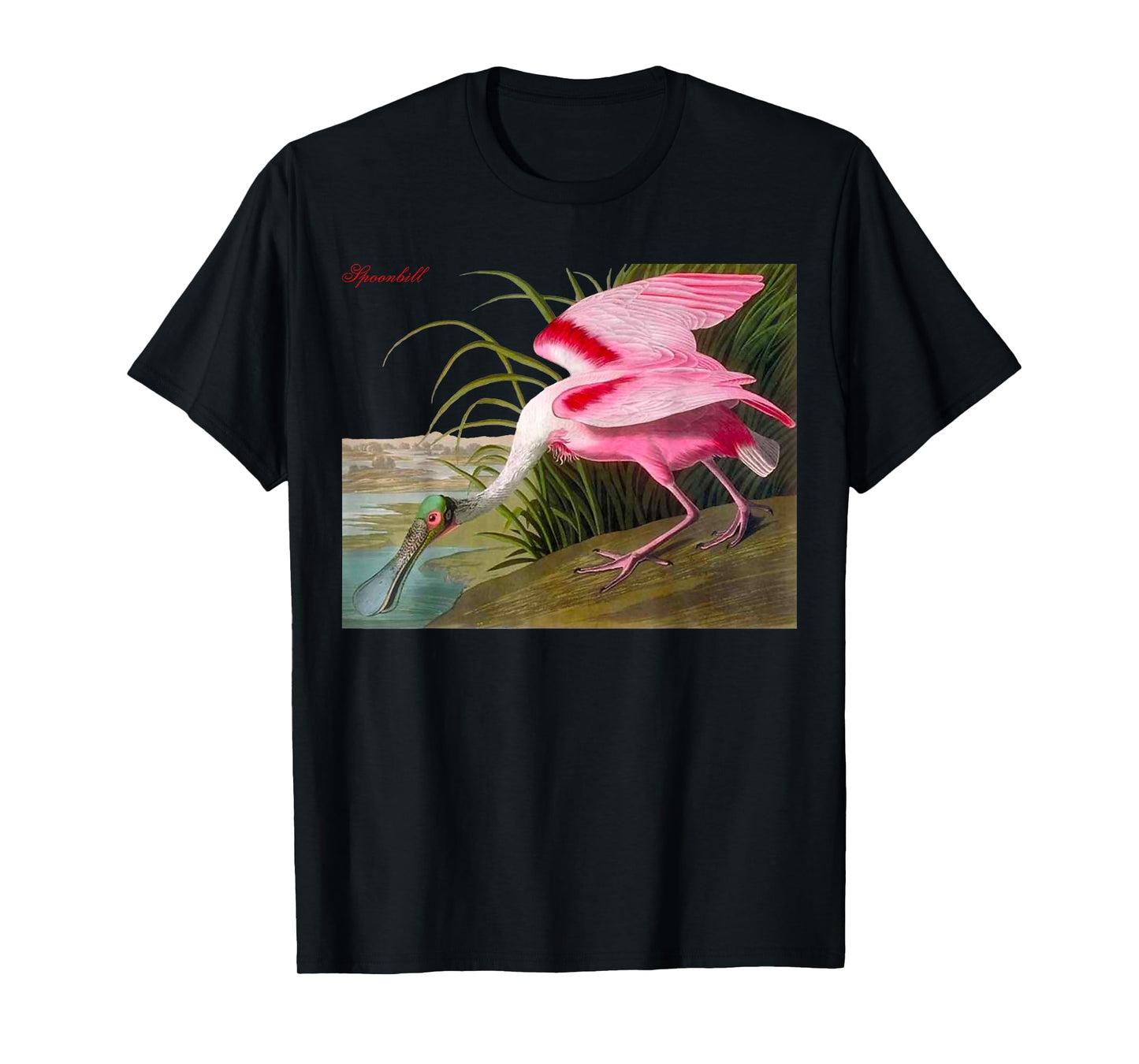 Audubon Spoonbill North American Birds Education Nature T-Shirt