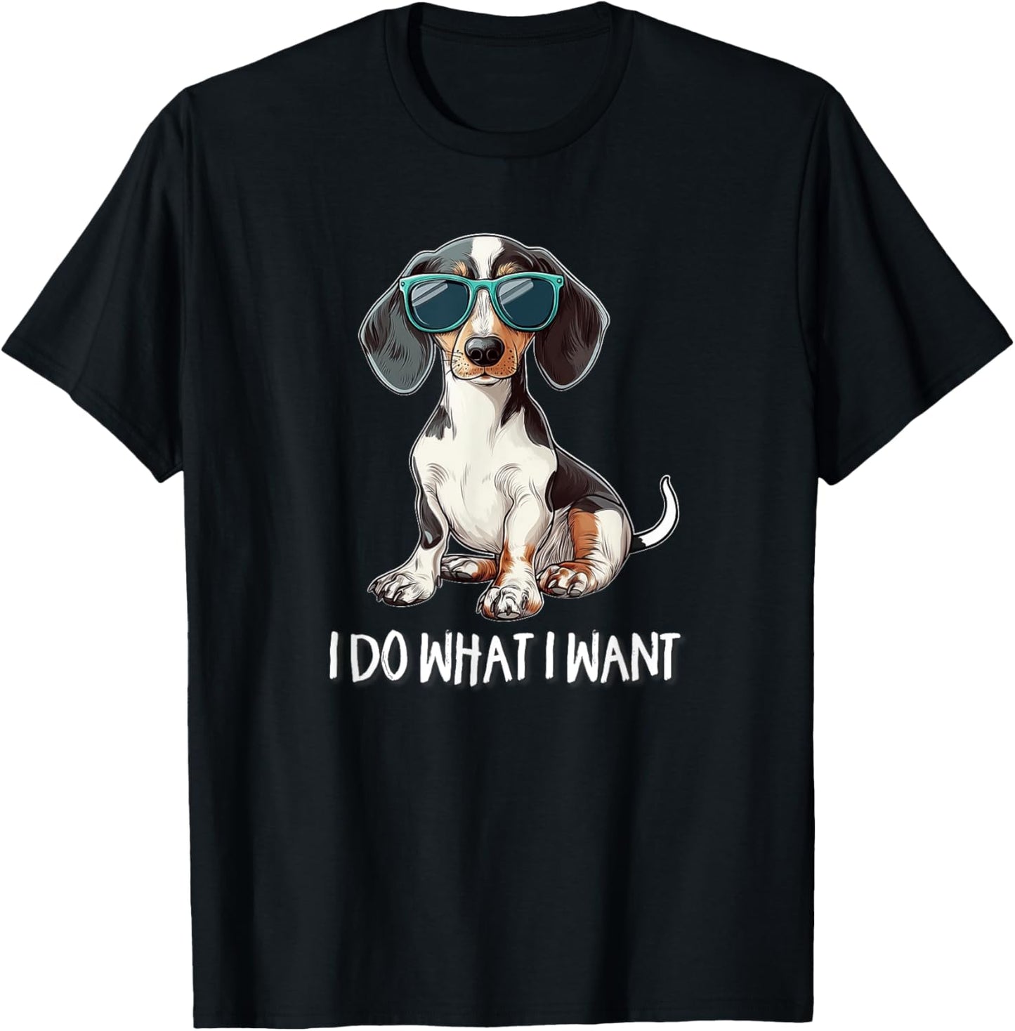Funny Do What I Want Piebald Dachshund Lover T-Shirt