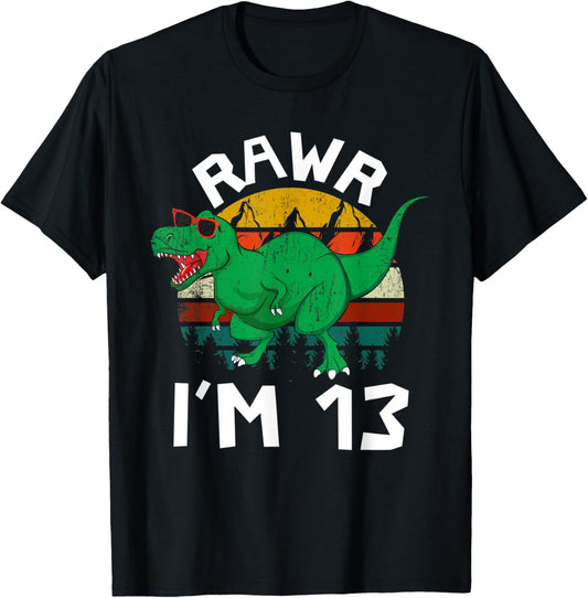 Rawr I'm 13 Year Old 13th Birthday Dinosaur Bday Party T-Shirt