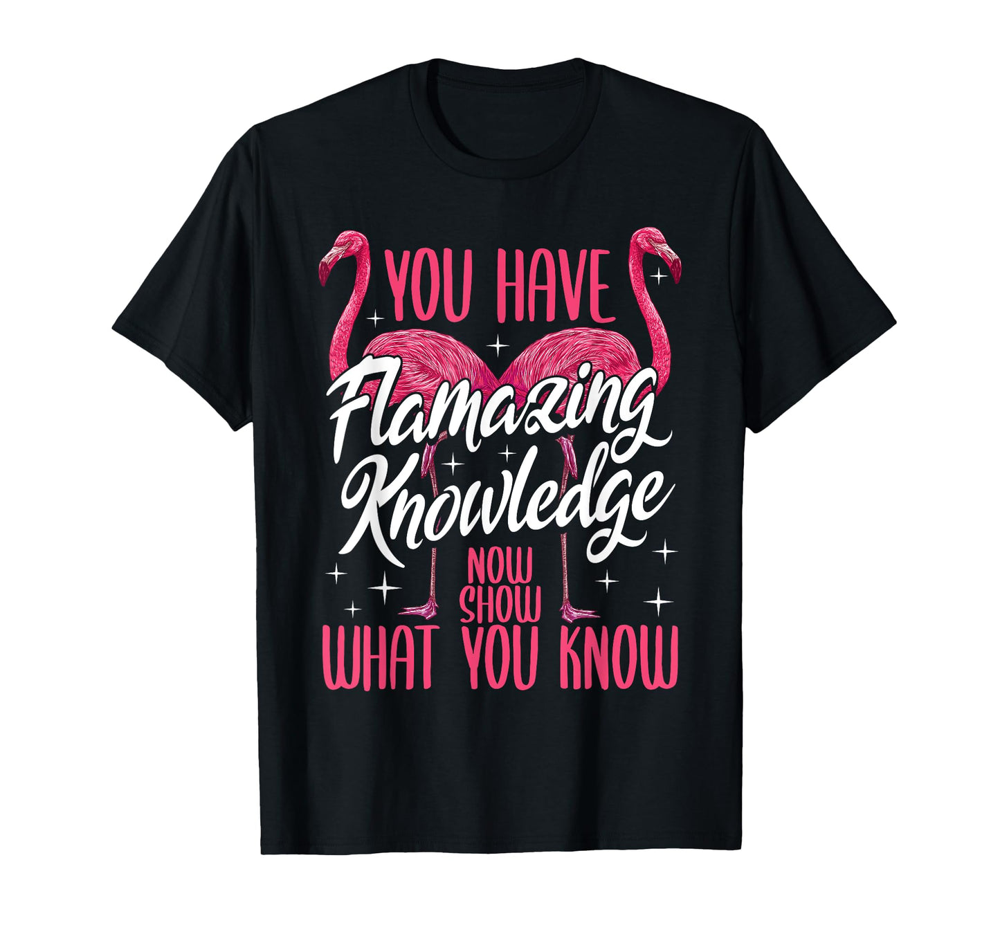 Test Day Teacher You Have Flamazing Knowledge Flamingo T-Shirt