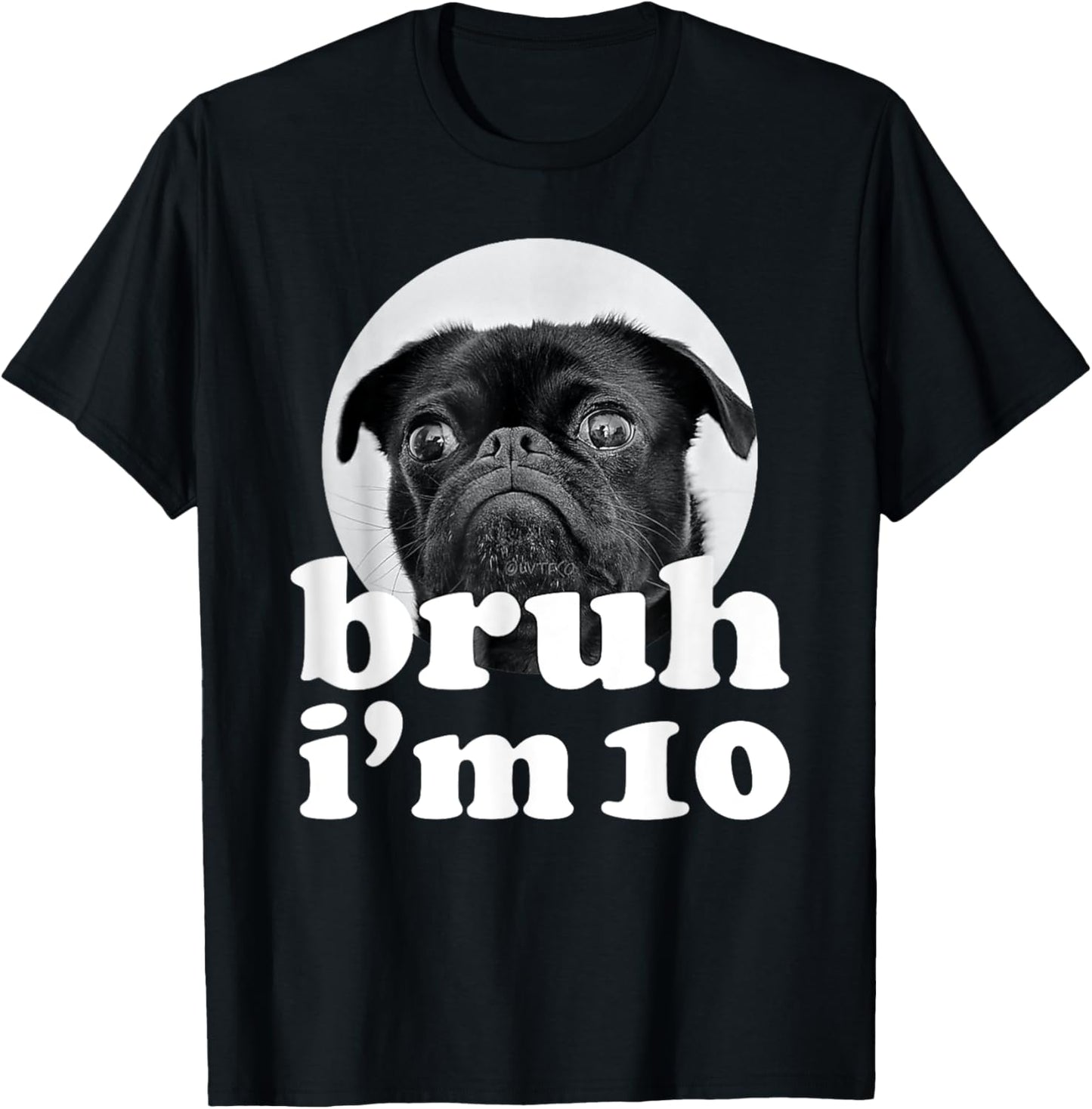 Bruh I'm 10 Year Old Pug Dog 10th Birthday Boys T-Shirt