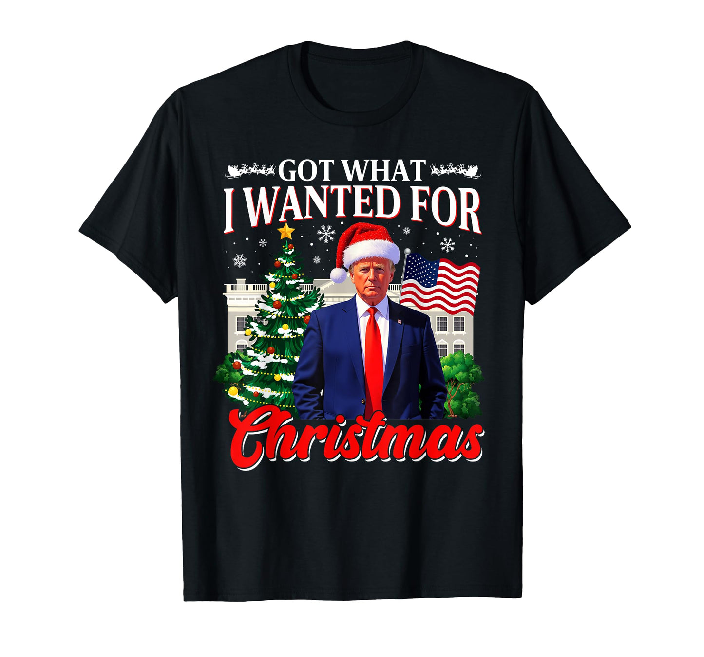 Got What I Wanted For Christmas Donald Trump 47th President T-Shirt