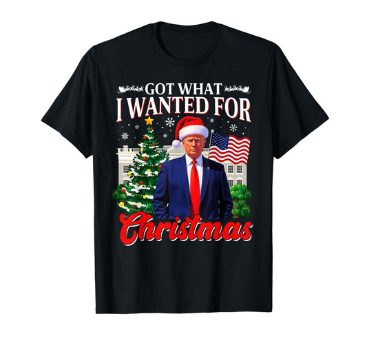 Got What I Wanted For Christmas Donald Trump 47th President T-Shirt