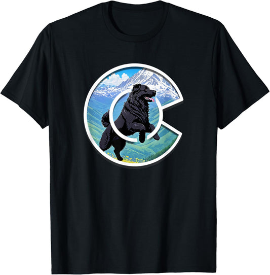 Colorado Newfoundland - Cute Dog - Rocky Mountains T-Shirt