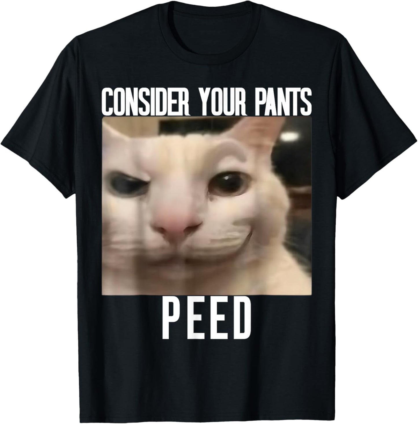 Consider Your Pants Peed Weird Cat Meme Funny Memes Brainrot T-Shirt